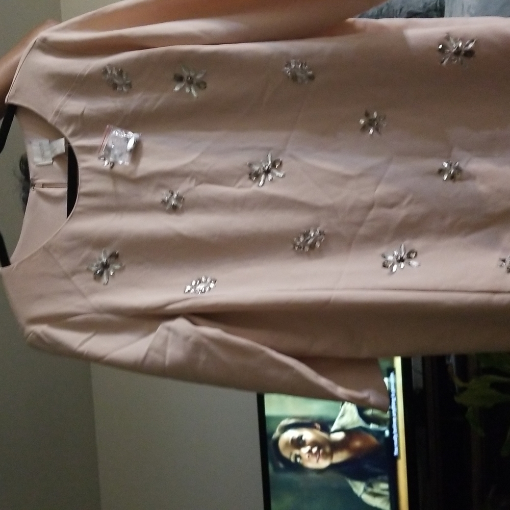 Chico Dress